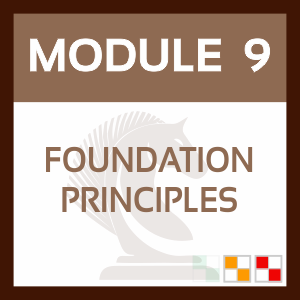 Teachers Chaos to Control MODULE 9 - Foundation Principles ONLINE COURSE